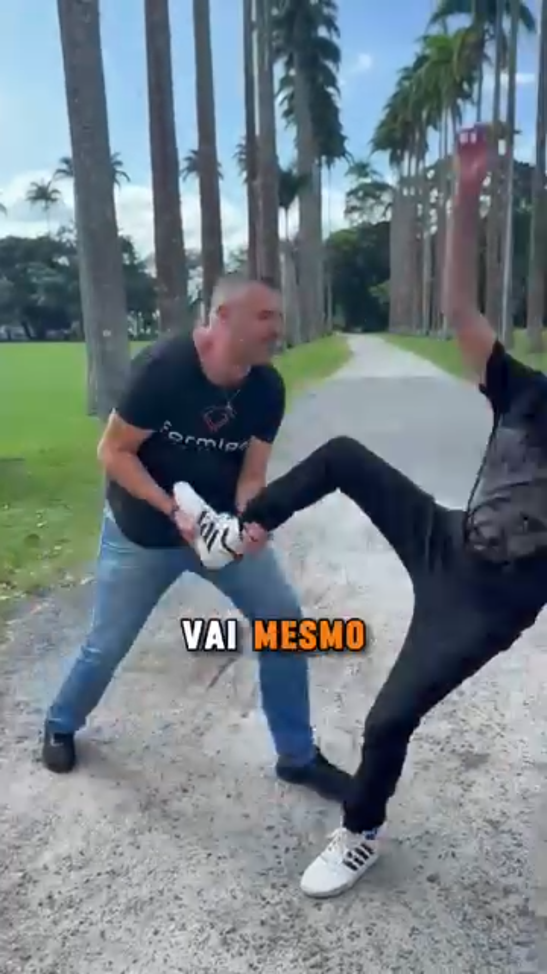 Criativo Formiga Digital